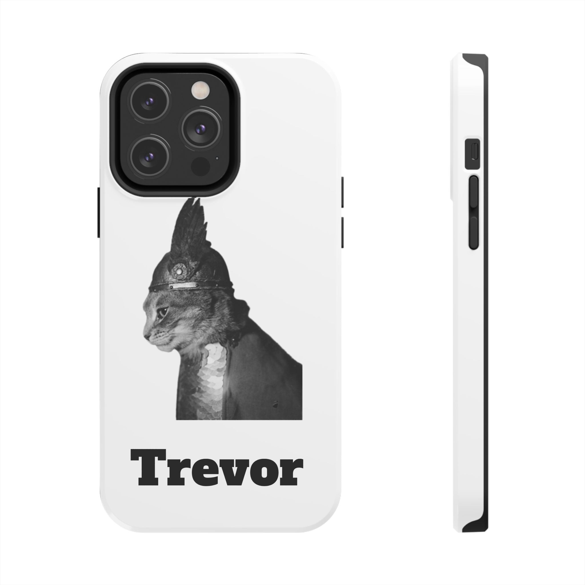Viking Black Cat Portrait black white monochrome phone case | Tough Phone Case | cat lover case for phone Iphone 17 16 15 14
