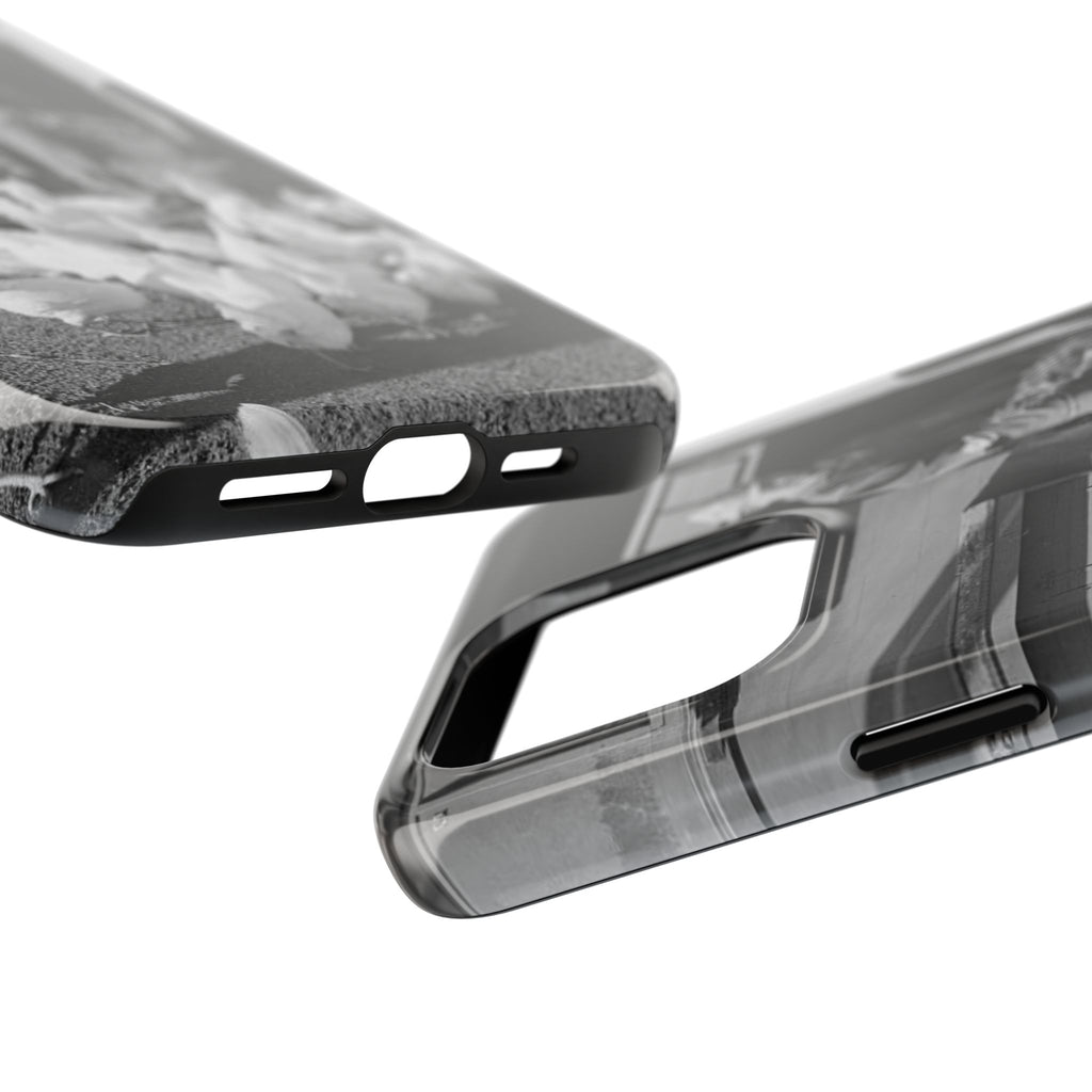 Ansel Adams  iBlack White image Farmer Feeding Chickens Phone Case | Vintage Farm Photo Tough Case | iphone 17 16 15