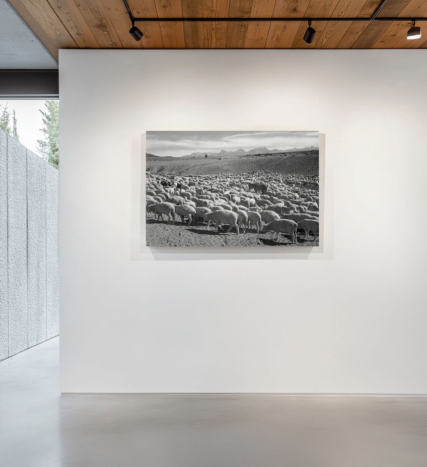 Ansel Adams Sheep Herd Landscape | Vintage Western Ranch Photography | Black & White Farm Scene | Rustic Western Wall Art