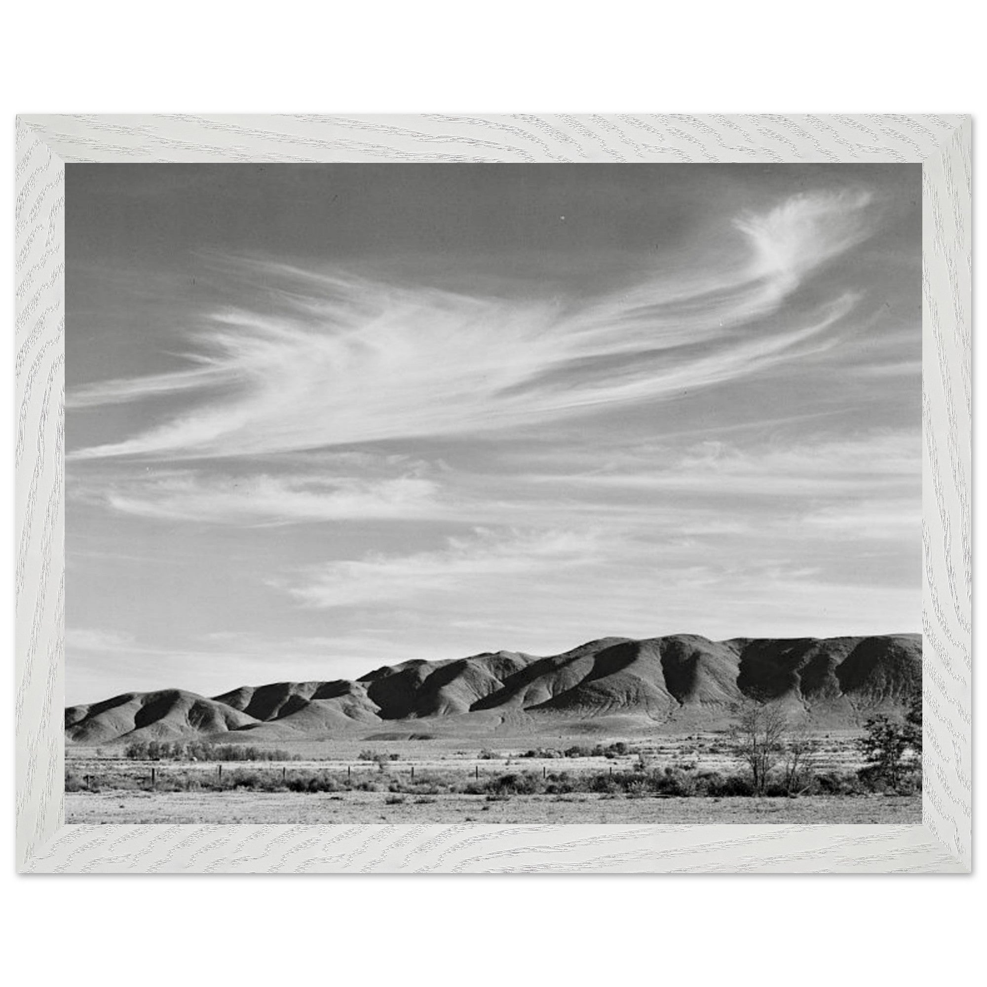cc522282-cb75-4b84-a593-0a516d39a824
